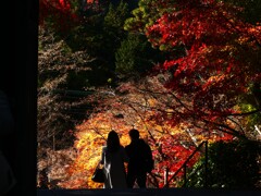 北鎌倉 円覚寺 (2)