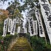 杉本寺