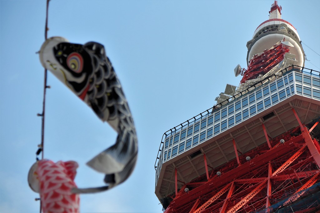 東京タワーと鯉のぼり③