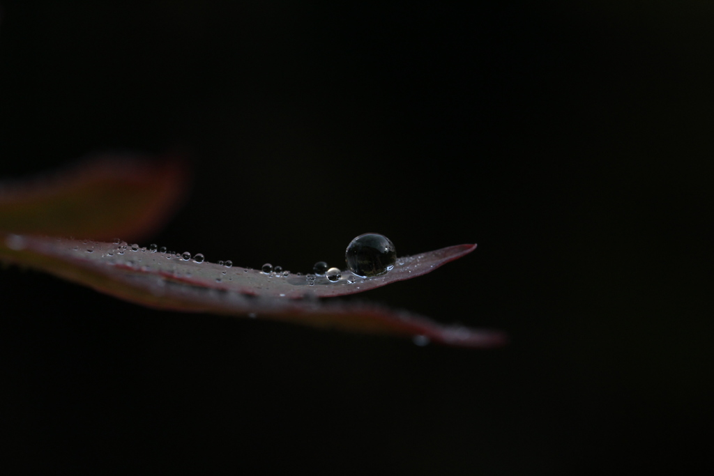 雫-暗