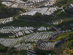 丸山千枚田