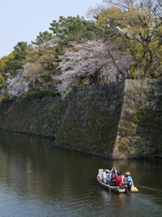 舟と桜
