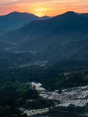 丸山千枚田②