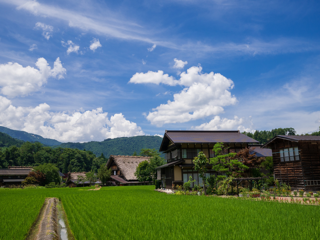 はやく夏になれ