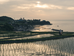 袖志の棚田