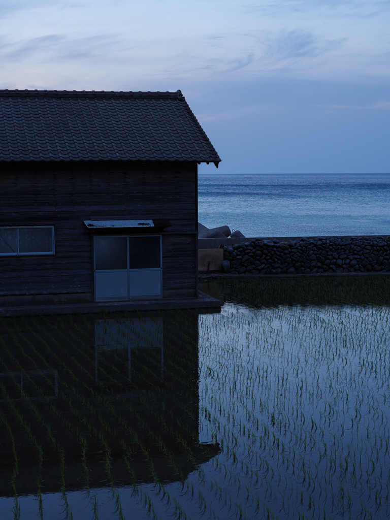 田んぼ隔て海