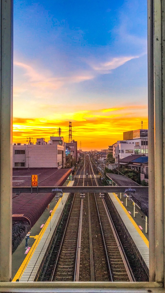 台風の、その後