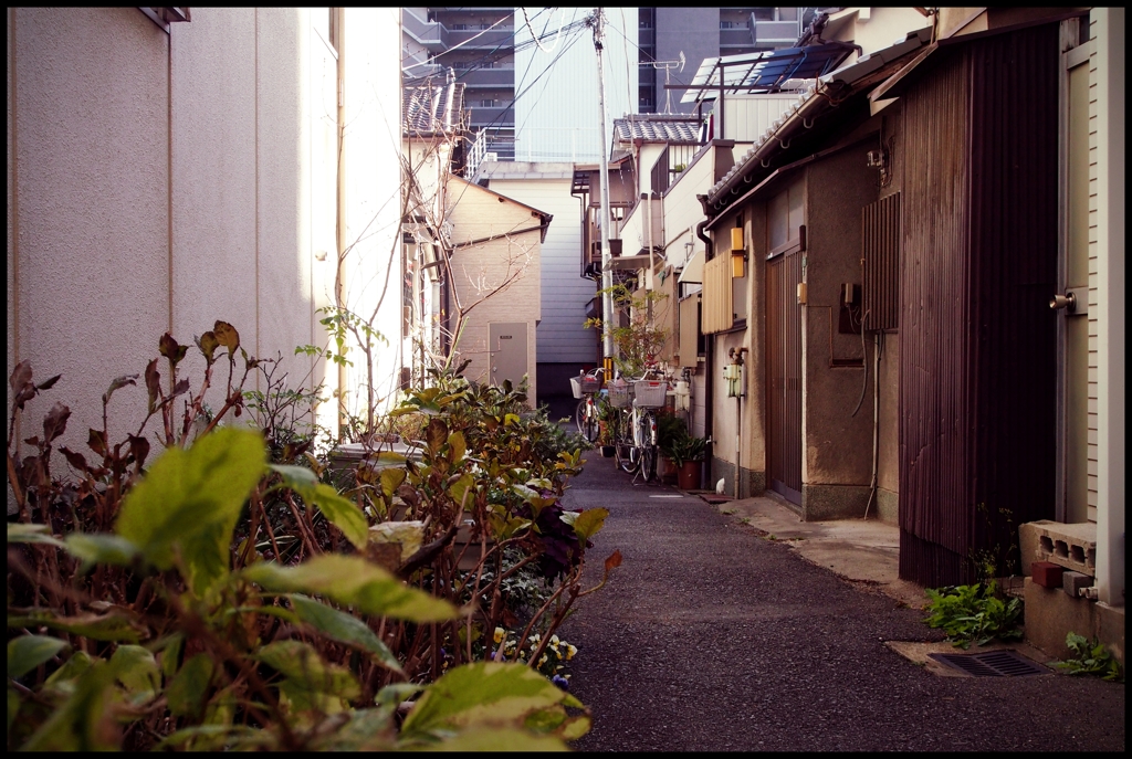 【大阪 郷愁の路】「１２」