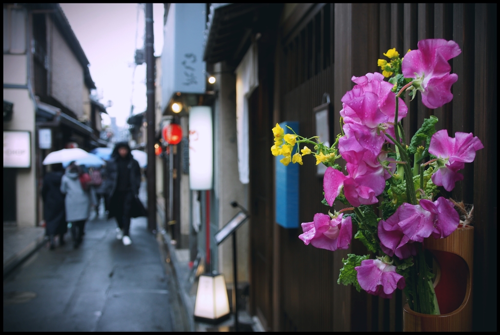 【京都 郷愁の路】「５０」