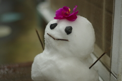 snow world #9