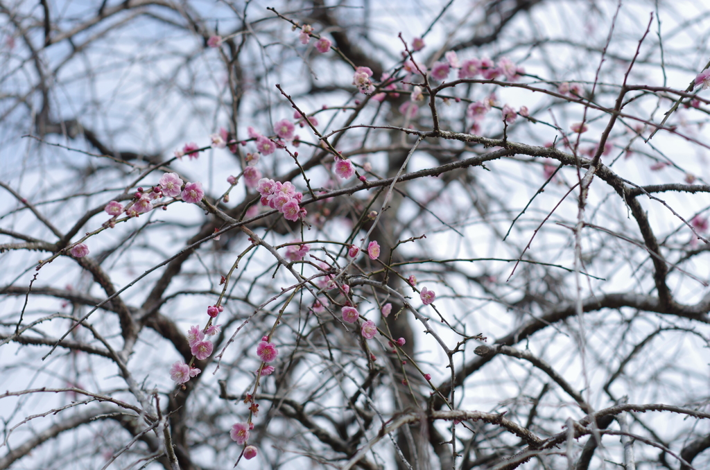もうすぐですね。