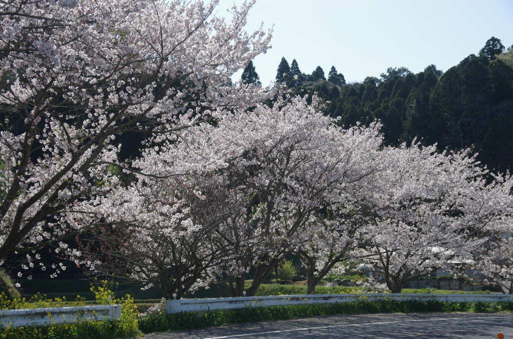 千葉県いすみ市札森 #5