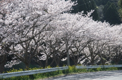 千葉県いすみ市札森 #8