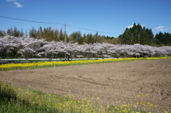 千葉県いすみ市札森 #1　