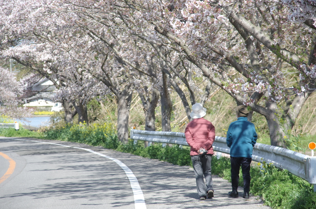 千葉県いすみ市札森 #7