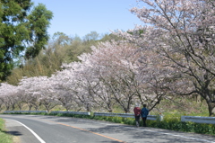 千葉県いすみ市札森 #6