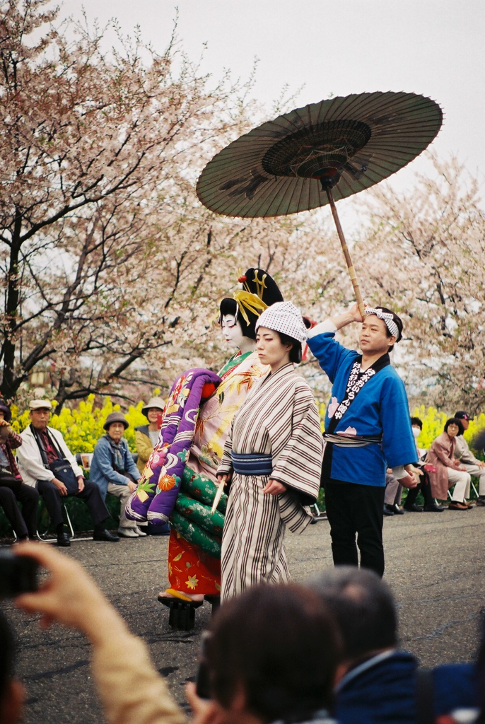 花魁恥じらえば夏を待つ