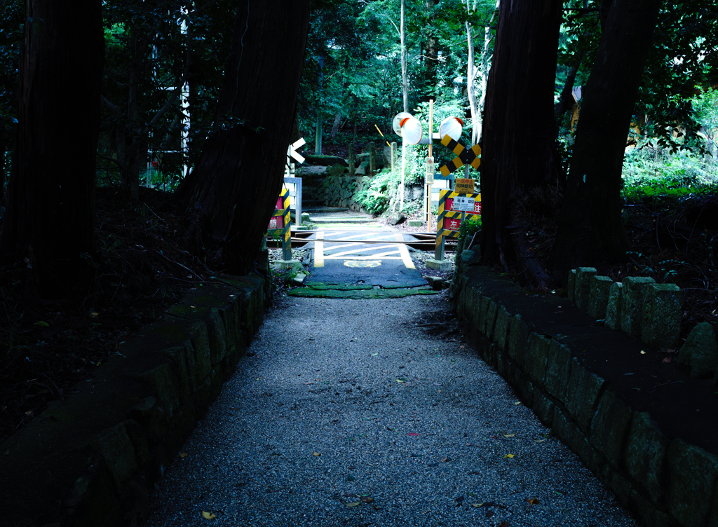 神社と踏み切り