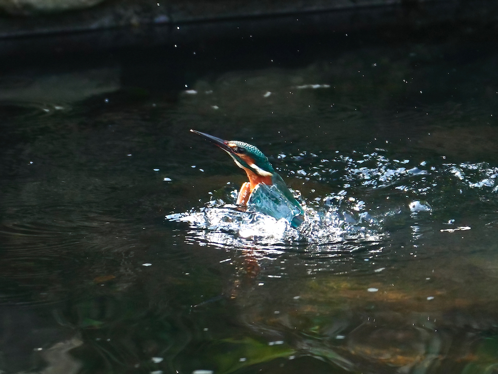 離水準備