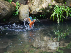 離水