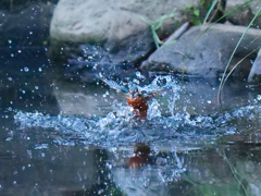 離水