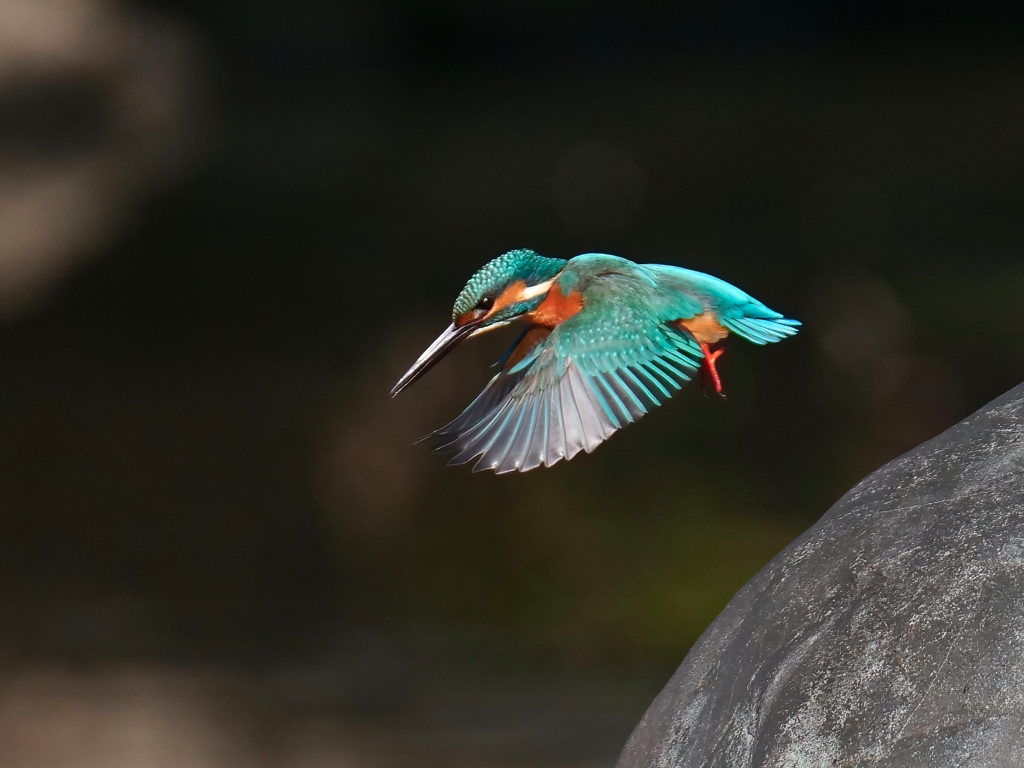 滑空