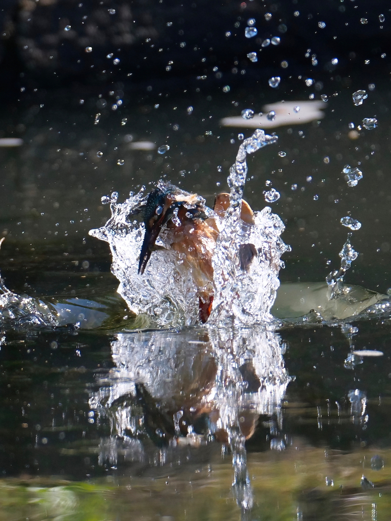 水のベール