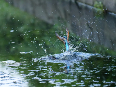 離水