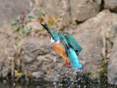 上昇
