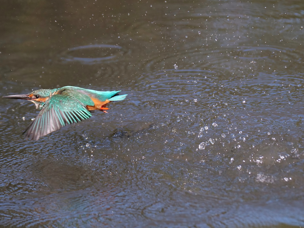 離水