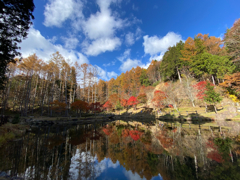 紅葉狩り