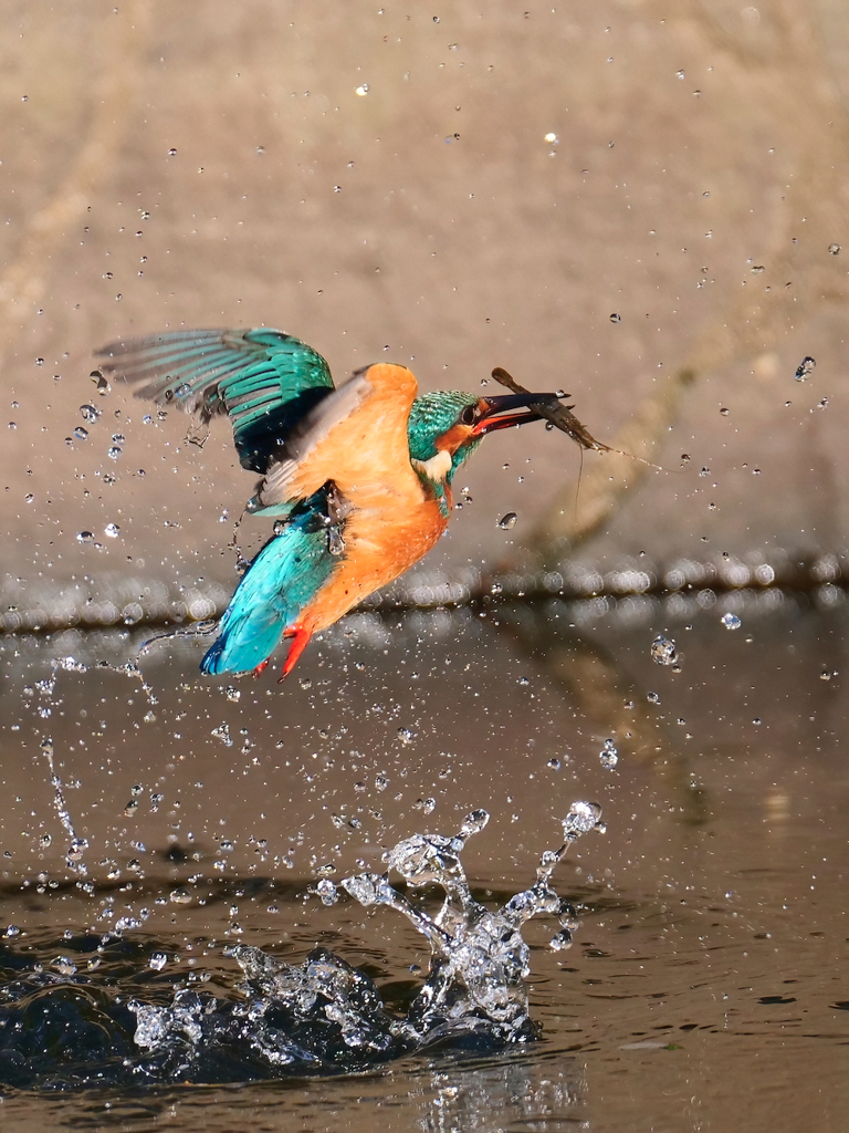 離水