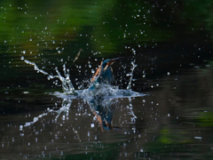 離水