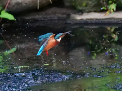 離水４