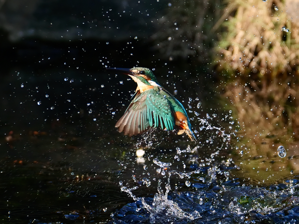離水の次の瞬間