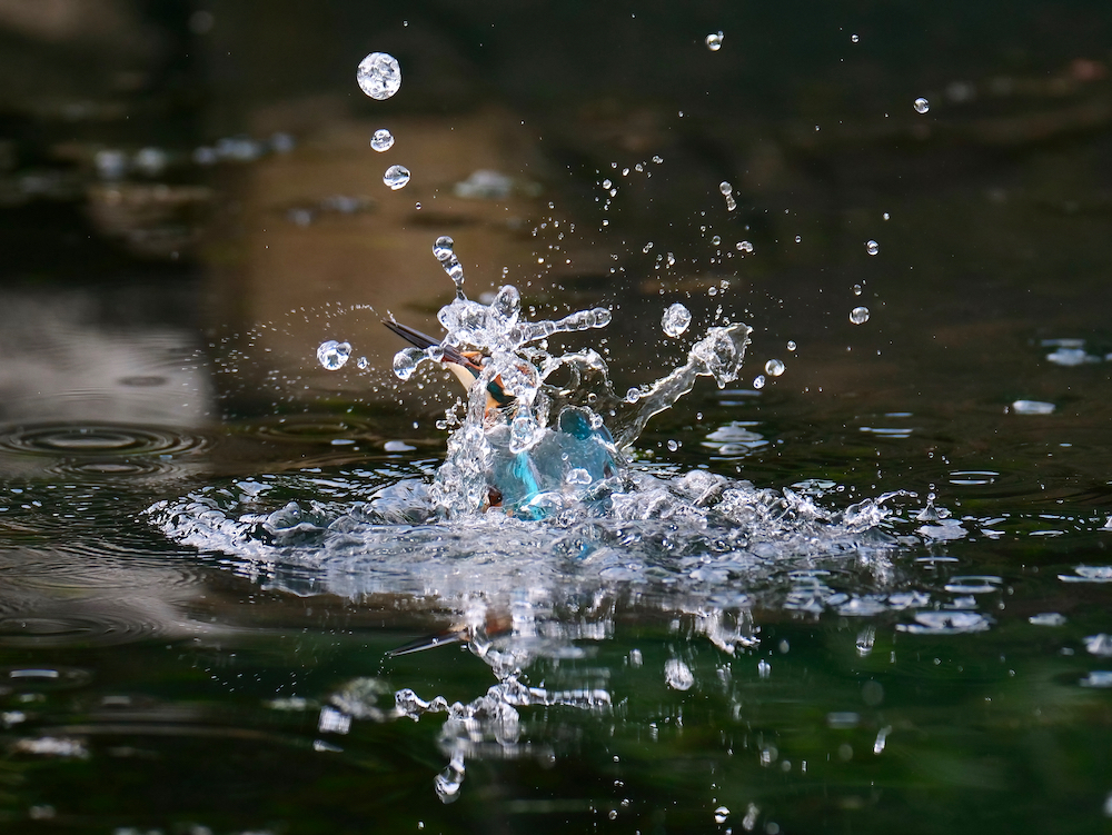 水絡み２