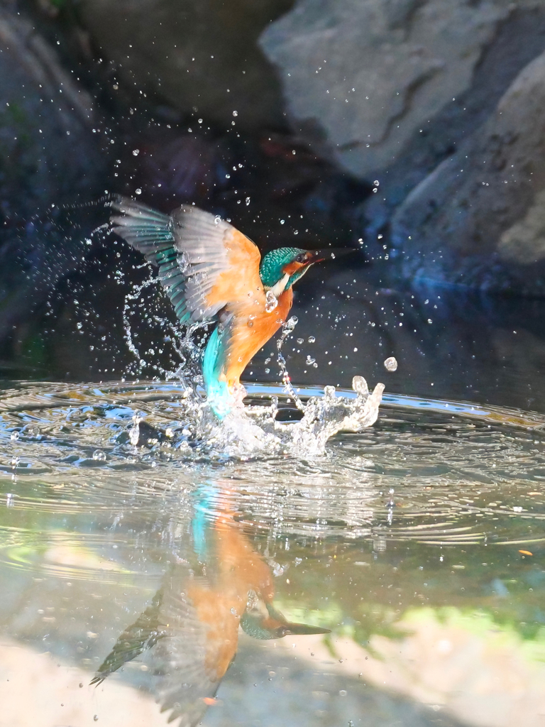 離水