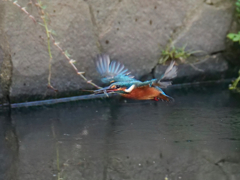 横っ飛び