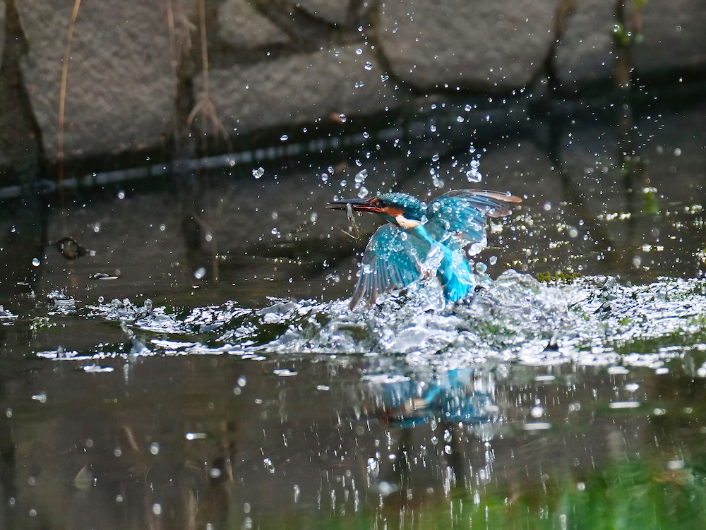離水