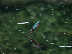 着水ジャスト