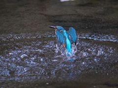 離水