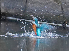 離水３