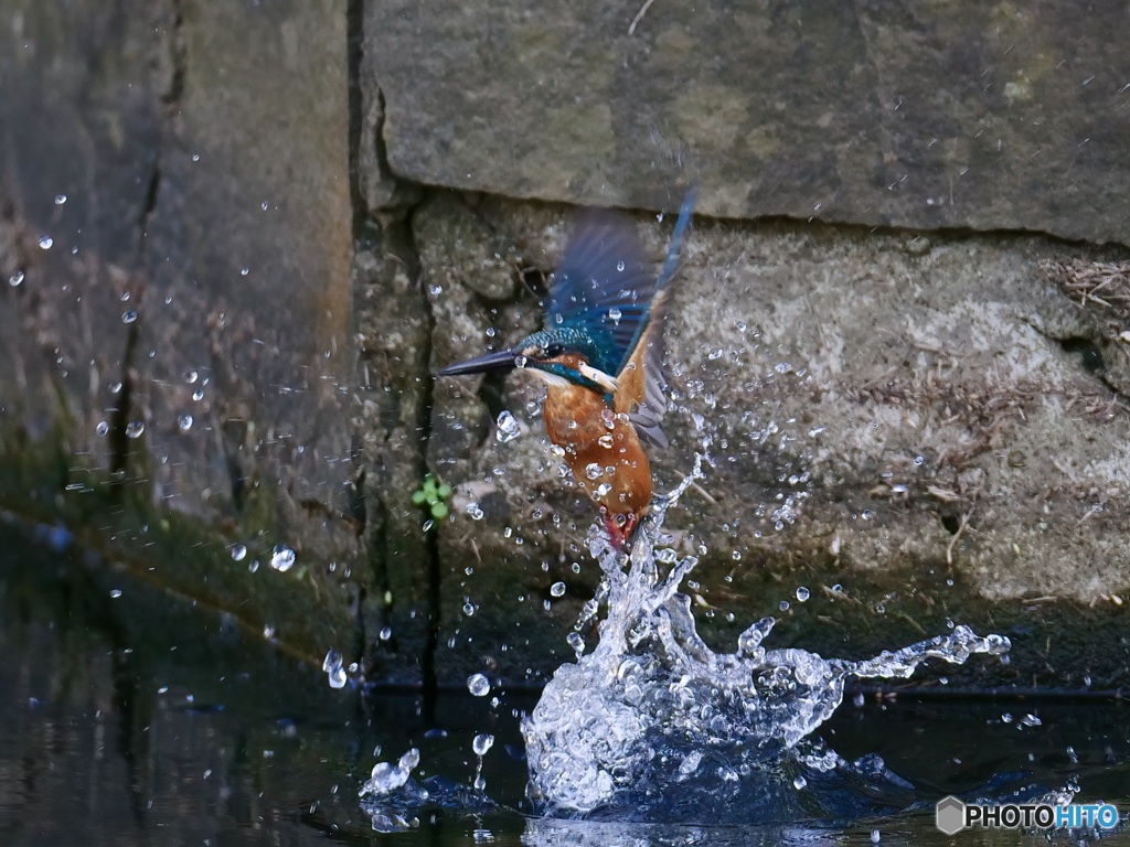 離水