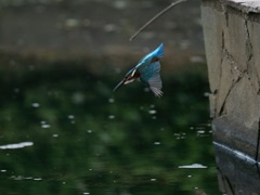 着水寸前