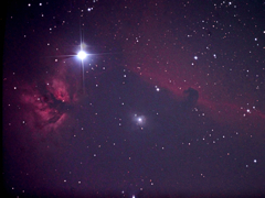 馬頭星雲と燃える木