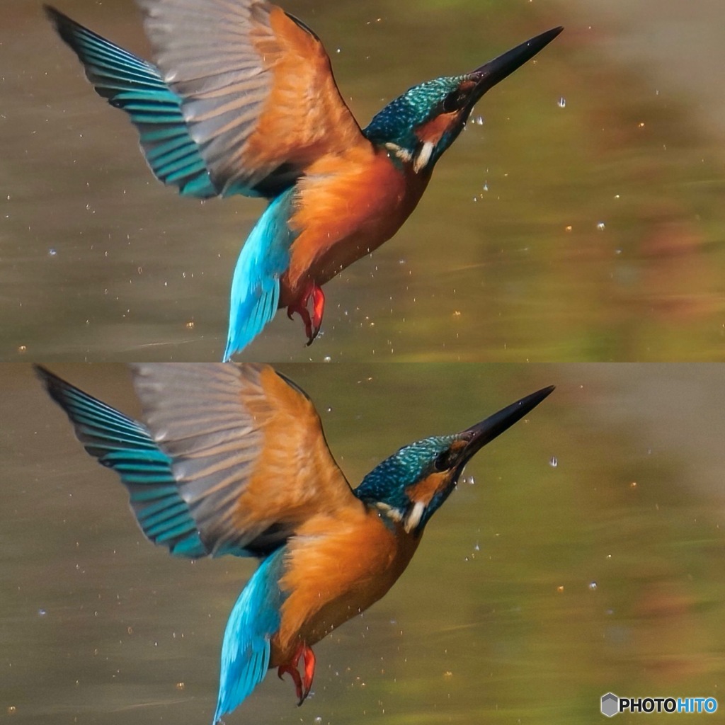 JPEG/RAW