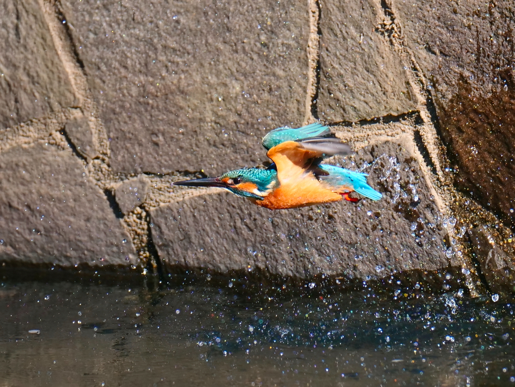 水平飛行