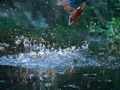 離水