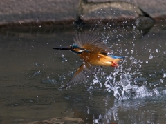 離水