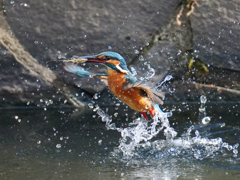 離水